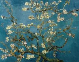 Vincent Van Gogh - Blossoming Almond Tree