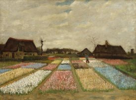 Vincent Van Gogh - Bulb Fields