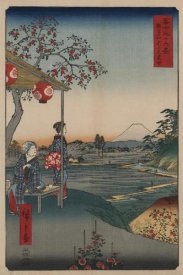Ando Hiroshige - Fujimi Teahouse at Zoshigaya