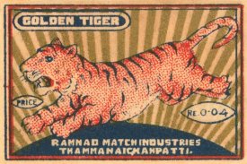 Unknown - Golden Tiger