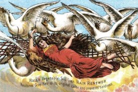 Advertisement - Hall's Vegetable Sicillian Hair Renewer