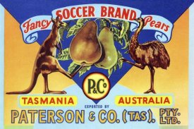 Unknown - Fancy Soccer Brand Pears