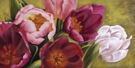 Jenny Thomlinson - My Tulips