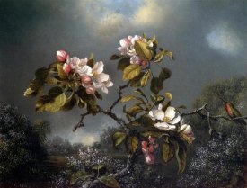 Martin Johnson Heade - Apple Blossom And Hummingbird