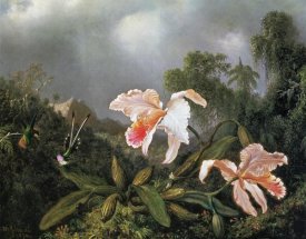 Martin Johnson Heade - Jungle Orchids And Hummingbirds 1872