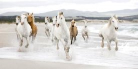 Zero Creative Studio - Horses on the Beach (detail)