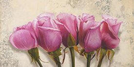 Elena Dolci - Royal Roses