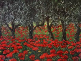 Tebo Marzari - Papaveri sotto gli ulivi