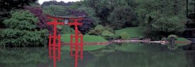 Richard Berenholtz - Japanese Garden