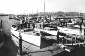 Vintage San Francisco - Yacht Harbor, San Francisco, CA