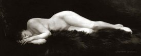 Vintage Nudes - Asleep on a Fur Rug