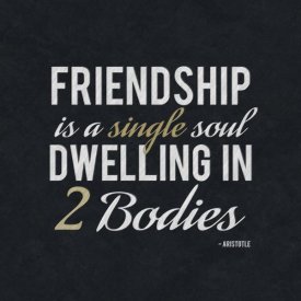 BG.Studio - Quote - Aristotle - Friendship Is