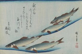Utagawa Hiroshige (Ando) - School of Five Seat Trout from the Series Fish, ca. 1835