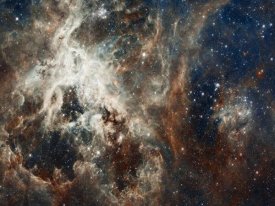 NASA - Tarantula Nebula - Compressed Version
