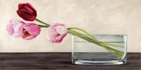Shin Mills - Modern Composition, Tulips