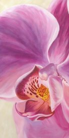 Cynthia Ann - Purple Orchids I