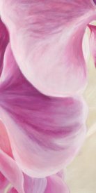 Cynthia Ann - Purple Orchids II