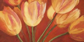 Silvia Mei - Orange Tulips