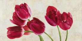 Luca Villa - Tulip Concerto
