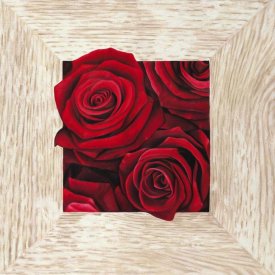 Pierre Benson - French Roses II