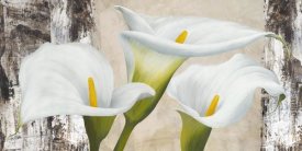 Jenny Thomlinson - True Nature