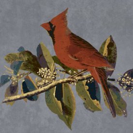 BG.Studio - Audubon Decor - Male Cardinal Grosbeak Detail