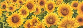 Luca Villa - Field of Sunflowers