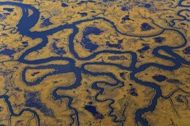 Ingo Arndt - Aerial view of Cape May Peninsula showing rivers and tributaries flowing through salt marsh, New Jersey
