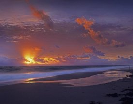 Tim Fitzharris - McArthur beach at sunrise, Florida