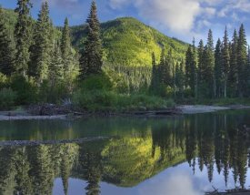 Tim Fitzharris - Pine River, Hart Ranges, British Columbia, Canada