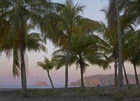 Tim Fitzharris - Moon setting, Playa Carillo, Guanacaste, Costa Rica