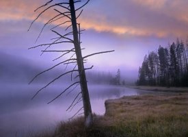 Tim Fitzharris - Yellowstone Lake, Yellowstone National Park, Wyoming