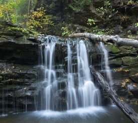 Tim Fitzharris - Seneca Falls, Ricketts Glen State Park, Pennsylvania