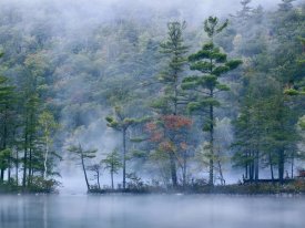 Tim Fitzharris - Emerald Lake in fog, Emerald Lake State Park, Vermont