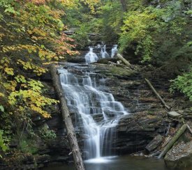 Tim Fitzharris - Delaware Falls, Ricketts Glen State Park, Pennsylvania