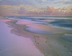 Tim Fitzharris - Beach at sunrise, Gulf Islands National Seashore, Florida