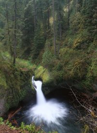 Tim Fitzharris - Punchbowl Falls at Eagle Creek, Columbia River Gorge, Oregon
