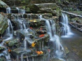 Tim Fitzharris - Kitchen Creek cascades, autumn, Ricketts Glen State Park, Pennsylvania