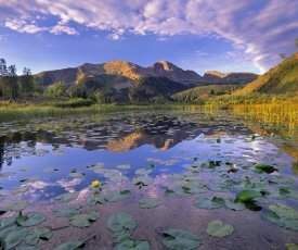 Tim Fitzharris - Lily Pads and reflection of Snowdon Peak in pond, west Needle Mountains, Colorado