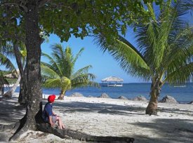 Tim Fitzharris - Tourist resting under palm trees on beach at Palmetto Bay, Roatan Island, Honduras