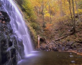 Tim Fitzharris - Crabtree Falls cascading into stream in autumn forest, Blue Ridge Parkway, North Carolina
