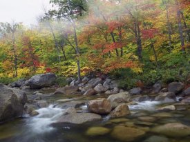 Tim Fitzharris - Swift River flowing through fall colored forest, White Mountains National Forest, New Hampshire