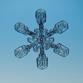 Steve Gettle - Snowflake seen through microscope