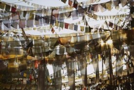 Colin Monteath - Prayer flags at dawn, Ganesh Top, Gangtok, Sikkim Himalaya, India