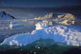 Colin Monteath - Evening light on ice floes and peaks in Paradise Bay, Antarctic Peninsula, Antarctica