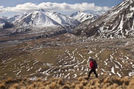 Colin Monteath - Hiker descends hill of Tussock Grass above Lake Heron Station, Canterbury, New Zealand