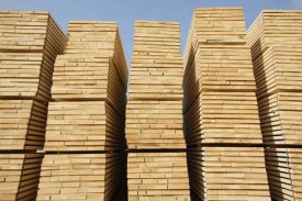 Cyril Ruoso - Logged timber from the tropical rainforest, now cut into boards, Cameroon