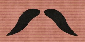 BG.Studio - Mustache: Walrus