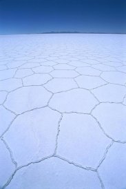 Tui De Roy - Ancient hexagonal crystallization fissures in Salar de Uyuni salt pan, Bolivia