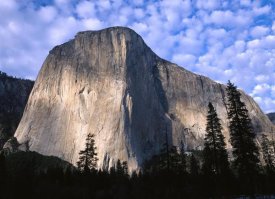 Tim Fitzharris - El Capitan rising over the forest, Yosemite National Park, California